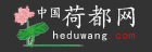 中國荷都網(wǎng)logo