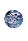 騰訊天天快報（財話）logo