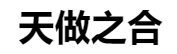 百家號(hào)（天做之合）logo