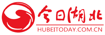 今日湖北社會logo