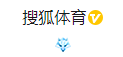 搜狐體育（官方）logo