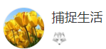 搜狐號(hào)（捕捉生活）logo