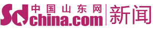 中國山東網(wǎng)評論logo
