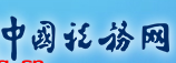 中國稅務網首發(fā)logo