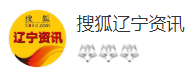 搜狐遼寧（官方）logo