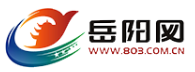 岳陽(yáng)網(wǎng)（包新）logo