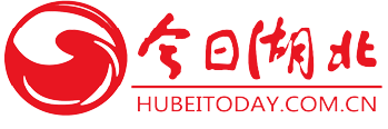 今日湖北（包新）logo