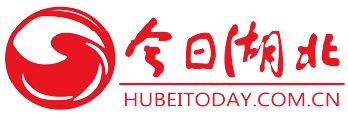 今日湖北首發(fā)logo