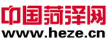 中國菏澤網logo